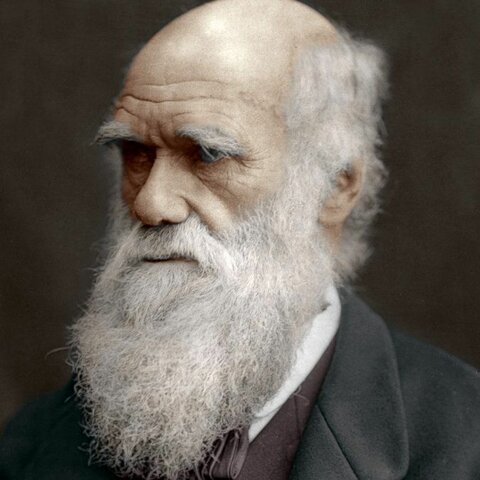 Charles Robert Darwin