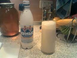 Destilación de bebidas alcoholicas. Uso de bacterias de ácido acético- vinagre y bacterias ácidos lácticos  para conservar la leche(yogurt)