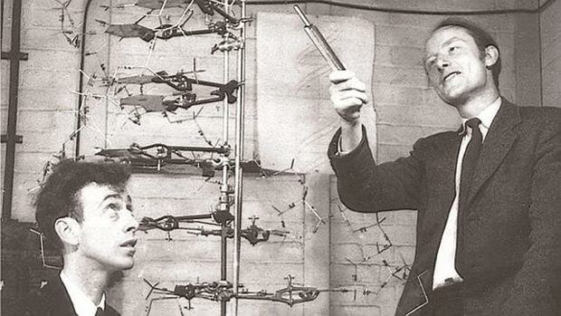 Watson y Crick describen la estructura doble  helice de la molecula del ADN