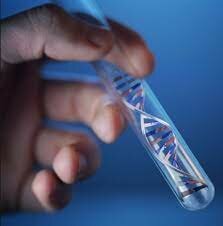 El ADN es producido por primera en un tubo de ensayo