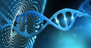 El primer genoma secuenciado