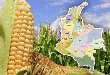 Ciclo de las Importaciones en Colombia