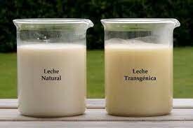 Leche Transgénica