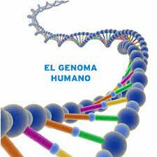 MAPEO DEL GENOMA HUMANO
