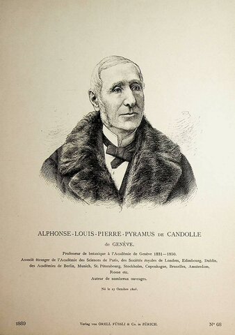 Alphonse de Candolle