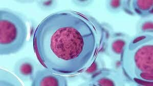 Reprogramación celular