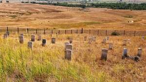 Victory of Little Big horn