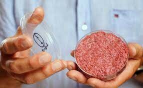 Carne sin dañar animales ni al ambiente