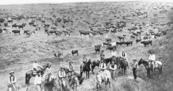 The Cattle Drive
