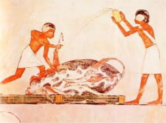 Instrumentos quirúrgicos