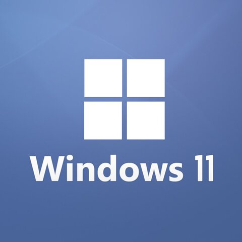 Windows 11