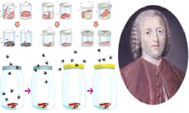 Produccion de microorganismos