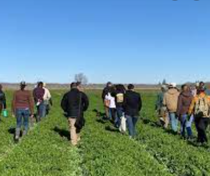 Sustainable Agriculture Research and Education