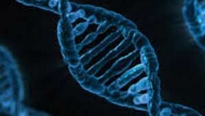 DNA catches the ciminal