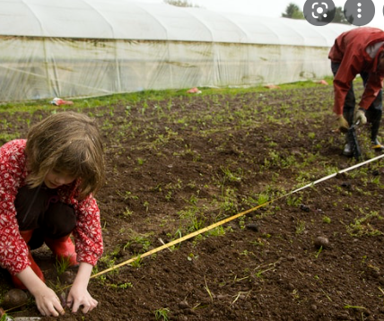 alternative and sustainable agriculture