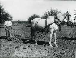 farmers begin to use horsepower to pull newly invented implements.