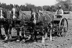 Farmers Readjust Their Planting Schedules
