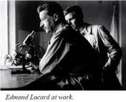 Hair now used in forensics