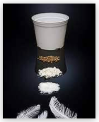 Chicken Feather Flower Pots