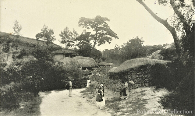 Exploring and Collecting Plant Life