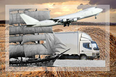 agriculture exports
