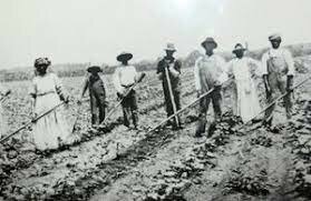 Sharecropping