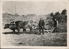 science changes the number of people needed for farming