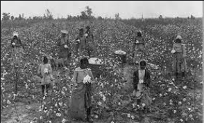 Post-War Agriculture in the South