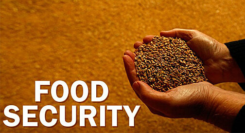 Food and Security Act of 1985