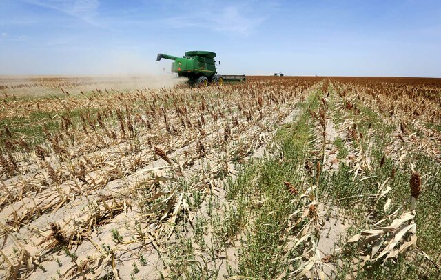 Drought and Depression