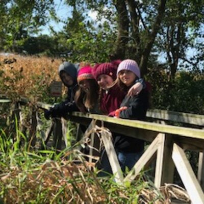 Timeline: My Timeline