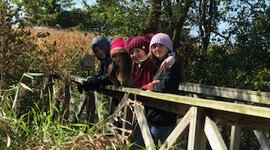 Timeline: My Timeline