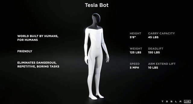 TESLA BOT