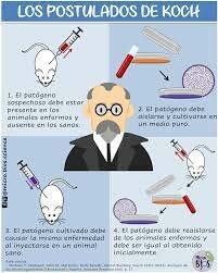 Conlcucion de la enfermedades de microorganismos