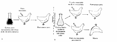 Inmunizacion contra enfermedades