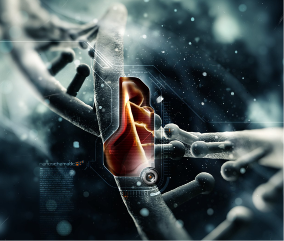 photo de la double hélice de l'ADN