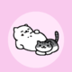 Neko atsume pfp 1