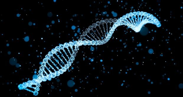 First Identification of DNA