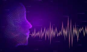 Voiceprint Identification