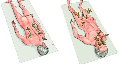 ASSESINAT JULI CÈSAR