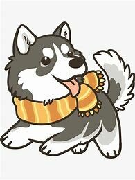 Llegada de Nala a mi vida