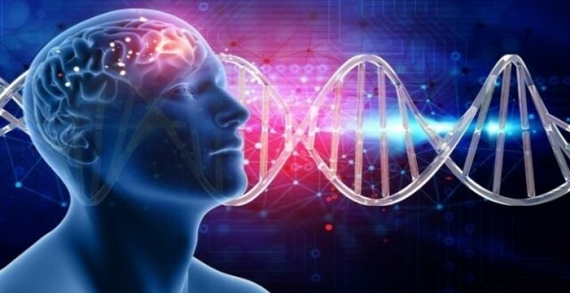 Esta disciplina surgió como: