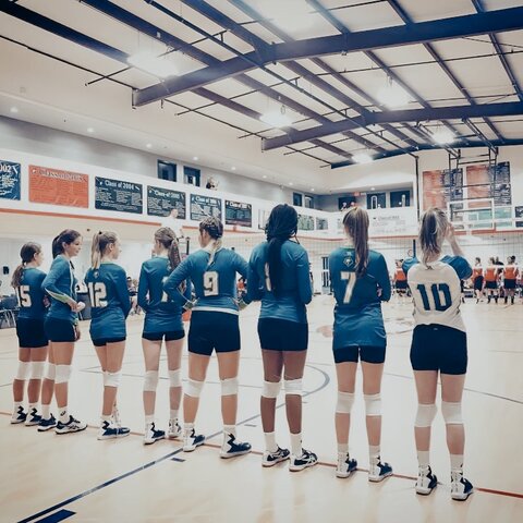 Robert Hooke wrote "Micrographia"