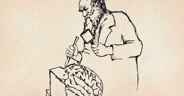 Scarr y Carter-Saltzman (1989)