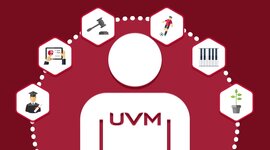 Timeline: Historia De La Universidad Del Valle De México