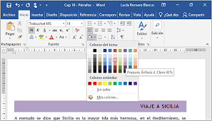 Word 2010 para Windows