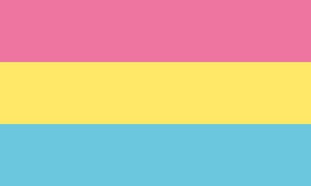 Came out as Pansexual