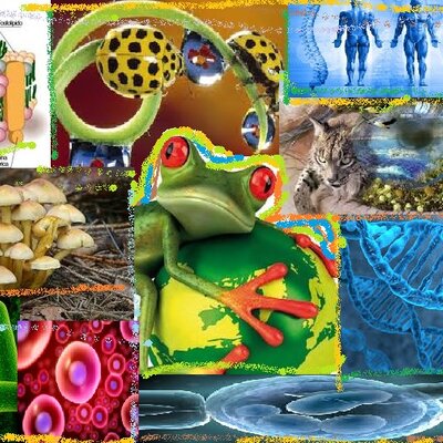 Timeline: Evolución histórica de las Ciencias Naturales.
