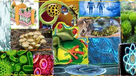 Timeline: Evolución histórica de las Ciencias Naturales.