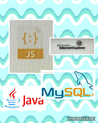 INTERNET EXPLORER, JS, MYSQL, JAVA